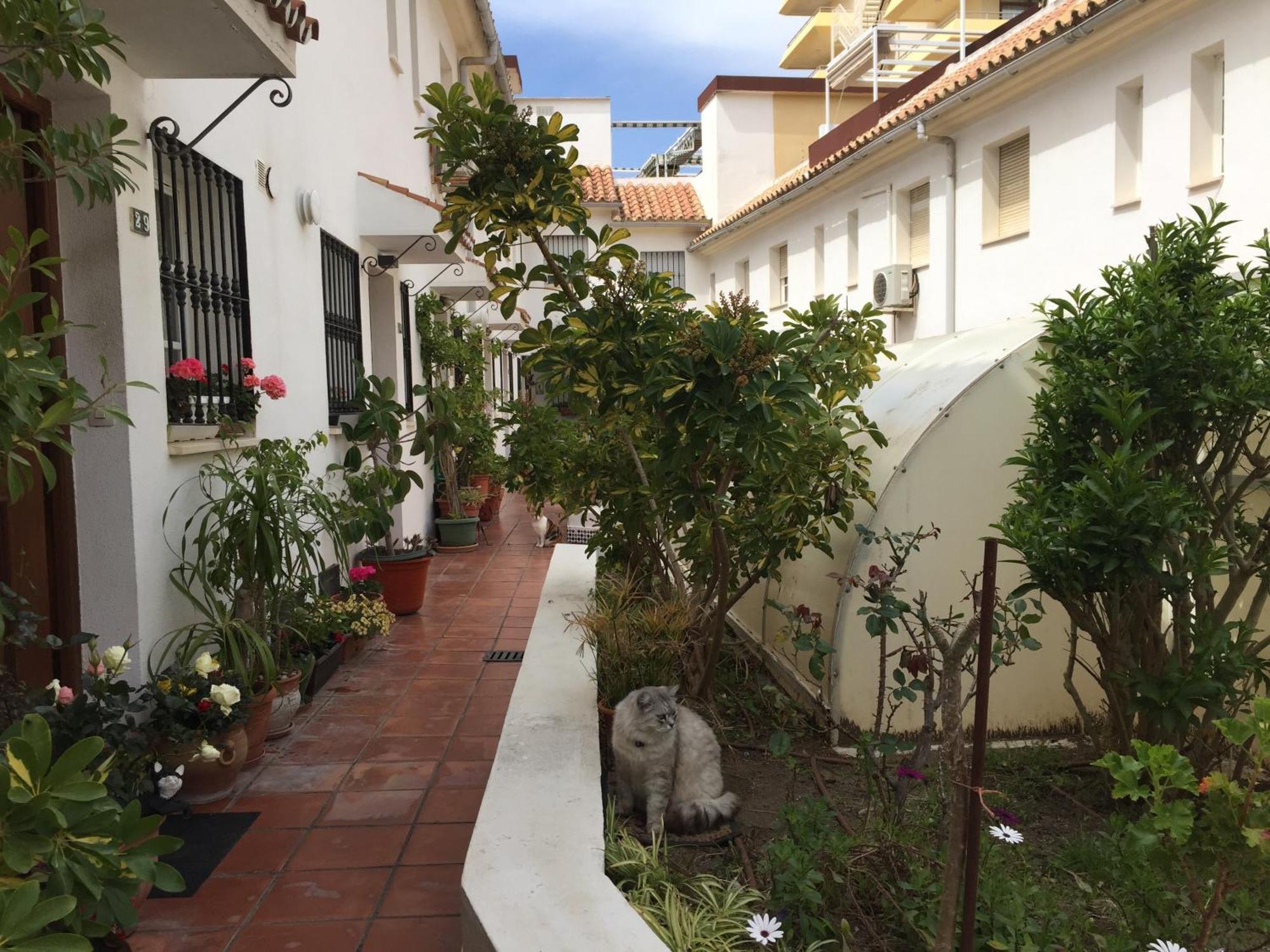 טורמולינוס El Cortijuelo. Magnificent Triplex Terraced House With Rooftop Of 18M2, Overlooking The Sea. Parking מראה חיצוני תמונה